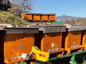 Držalo sublimatorja Sublimax